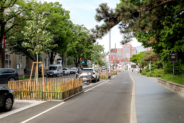 Hütteldorfer Straße Der neue Radweg entlang der Hütteldorfer Straße: bauliche Trennung von Gehsteig und Fahrbahn, Begrünung. © StadtWien / Fürthner