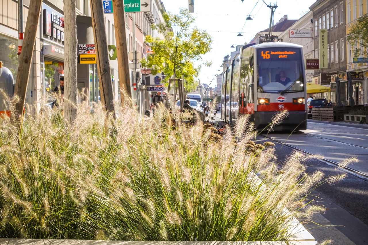 Ausschnitt der begrünten Thaliastraße: Gräserbeet mit Straßenbahn