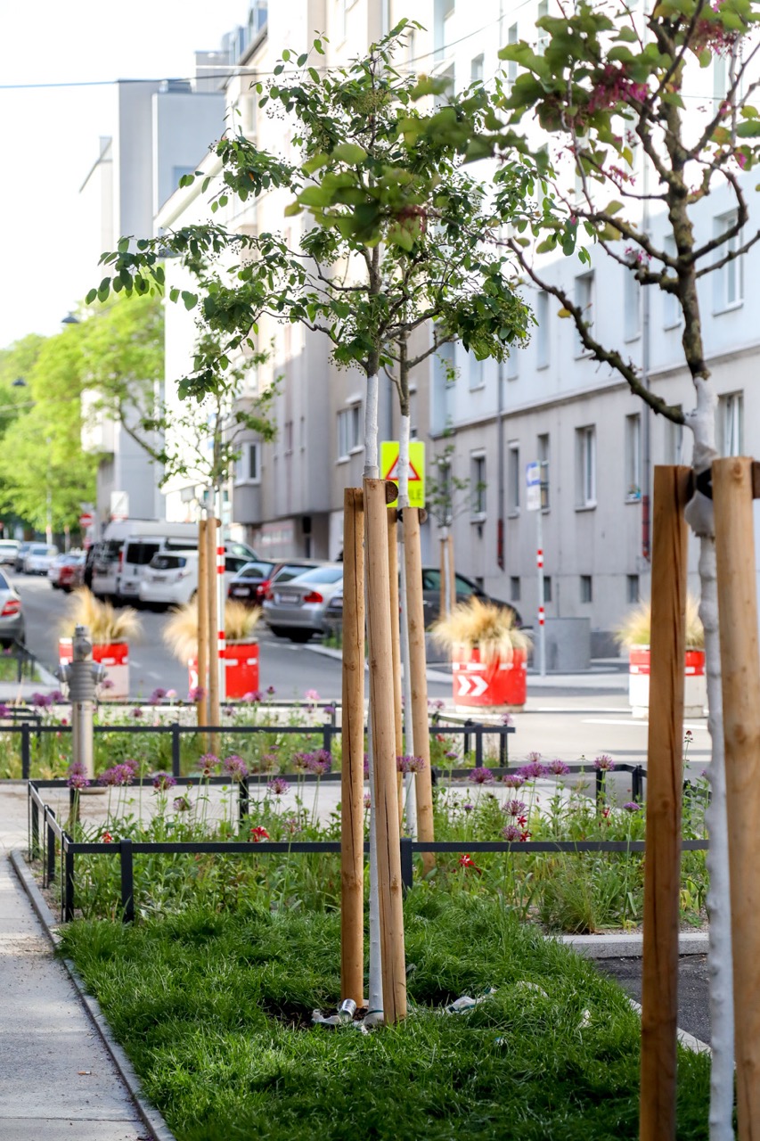 Supergrätzl Favoriten 1