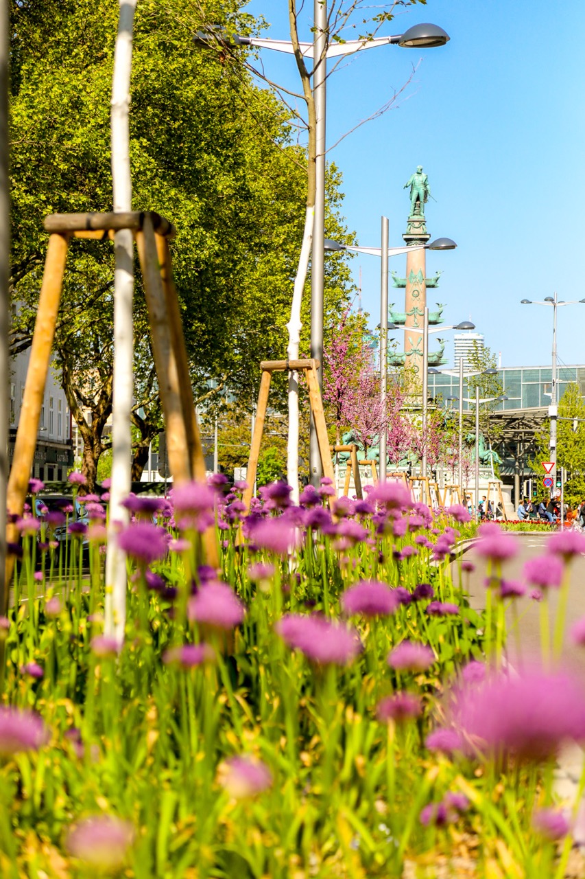 Praterstraße Blühende Farbenpracht an der Praterstraße