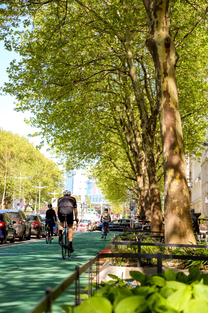 Radhighway Praterstraße Genug Platz und Schatten für Radler:innen in der Praterstraße