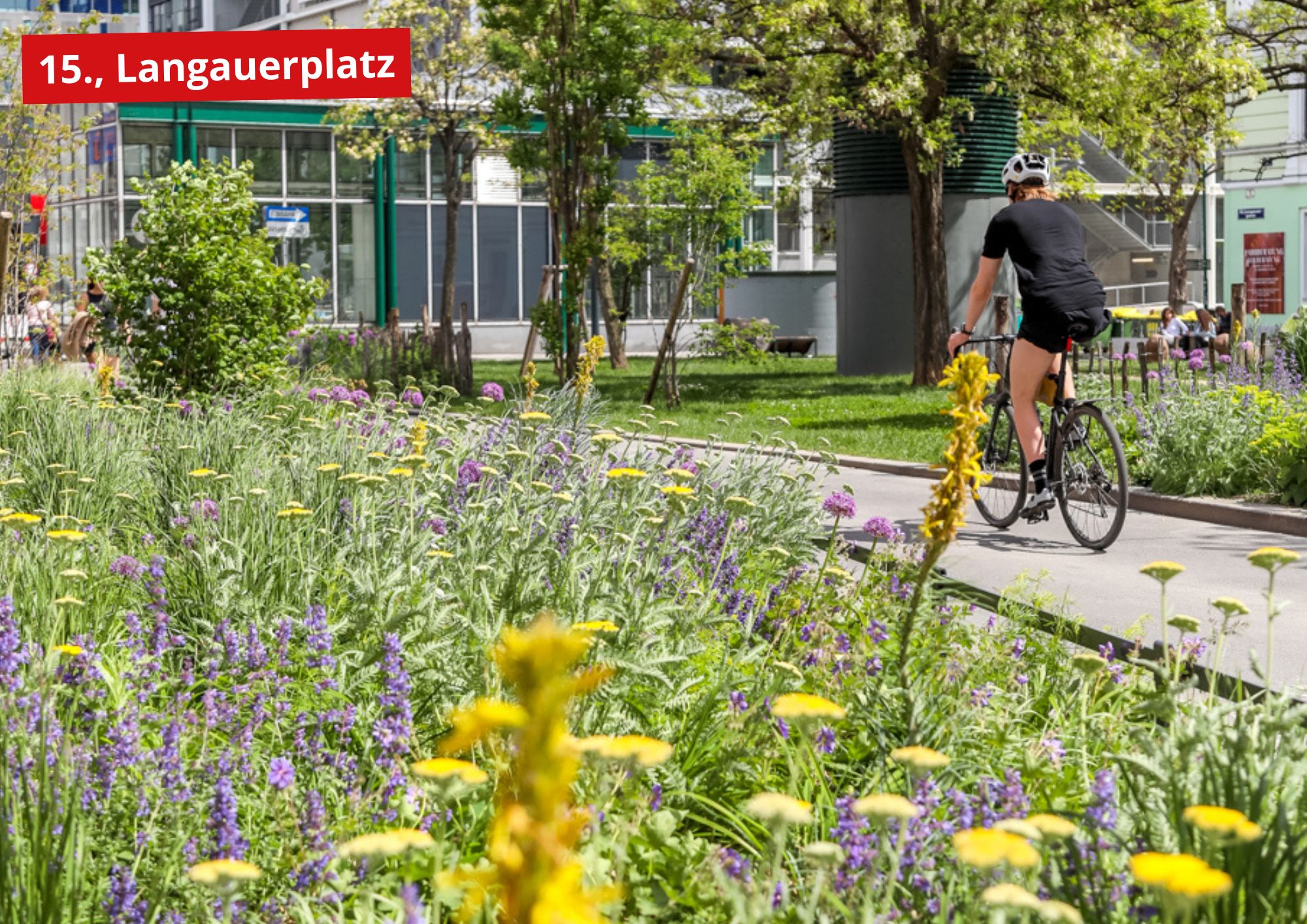 Langauerplatz 22 Nachher
