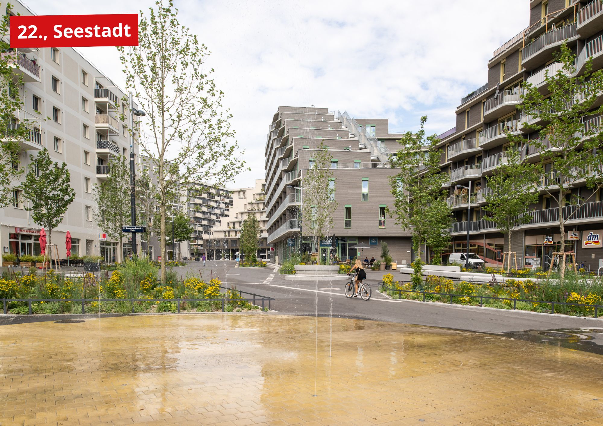 Seestadt nachher