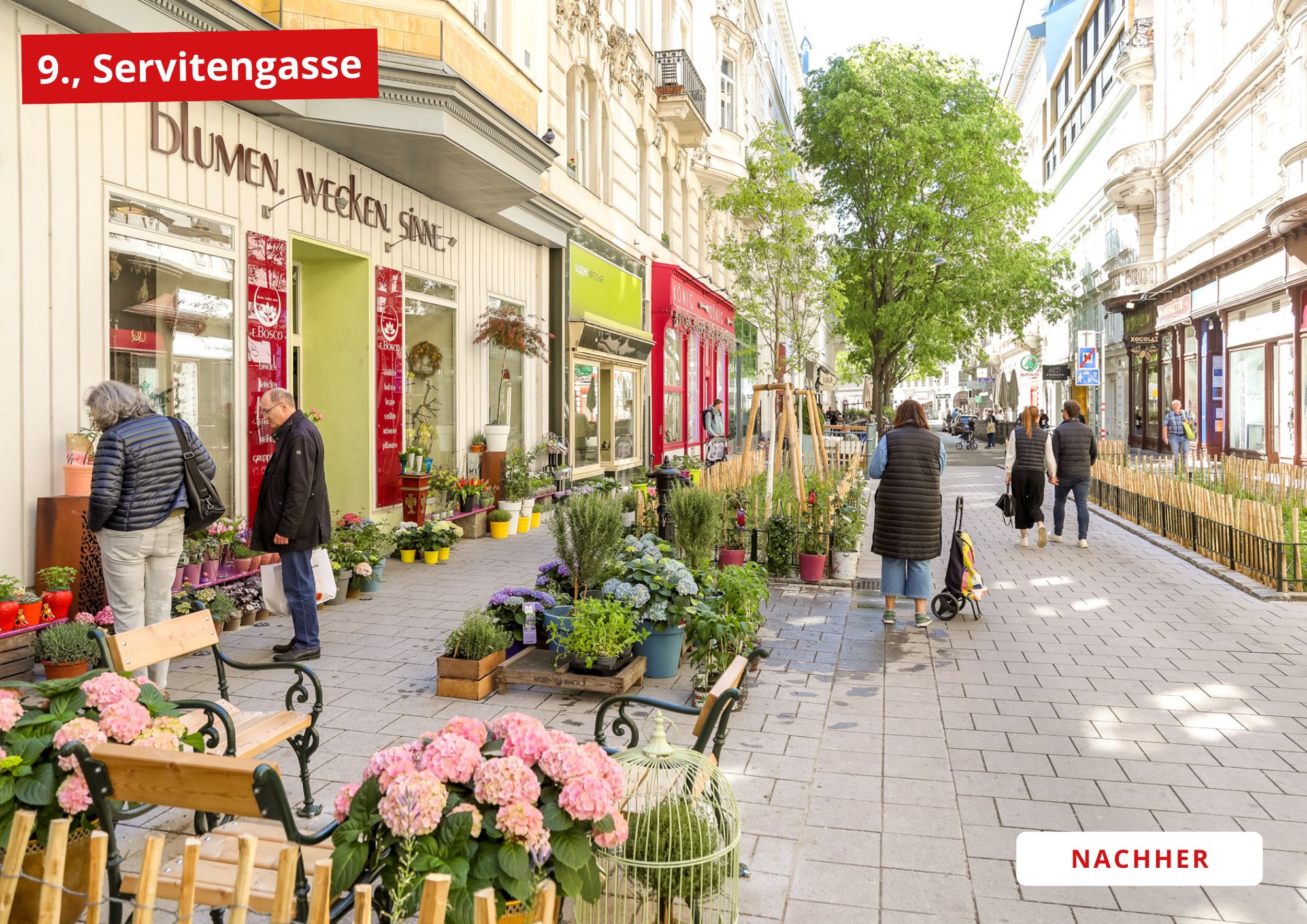 Servitengasse 1a2 Nachher