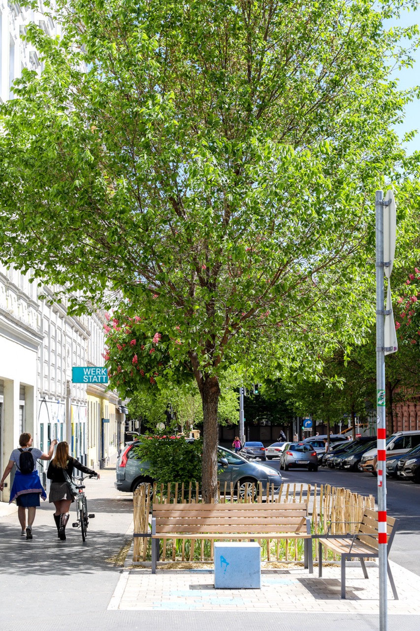 Die neu gestaltete, begrünte Hippgasse mit großem Baum © Stadt Wien/Christian Fürthner