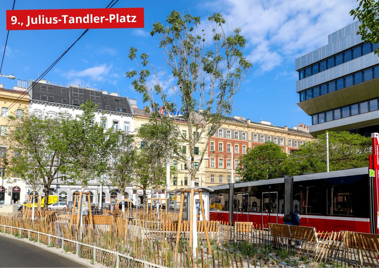 Der attraktivierte Julius-Tandler-Platz mit Begrünung und Sitzgelegenheiten © Stadt Wien/Christian Fürthner