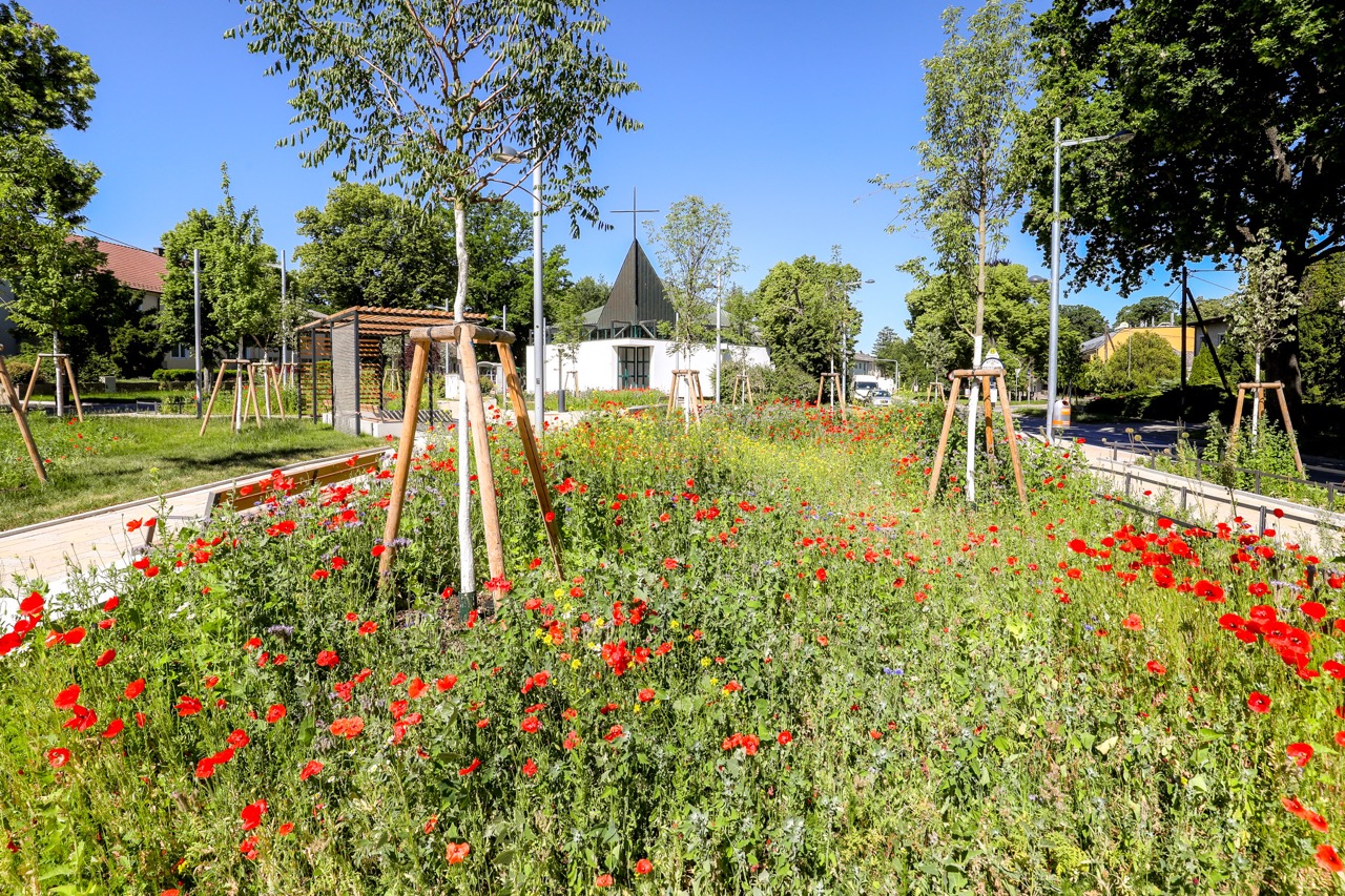 Blühende Wiese statt Parkplatz am Süßenbrunner Platz hinter der Kirche ©Stadt Wien/Christian Fürthner