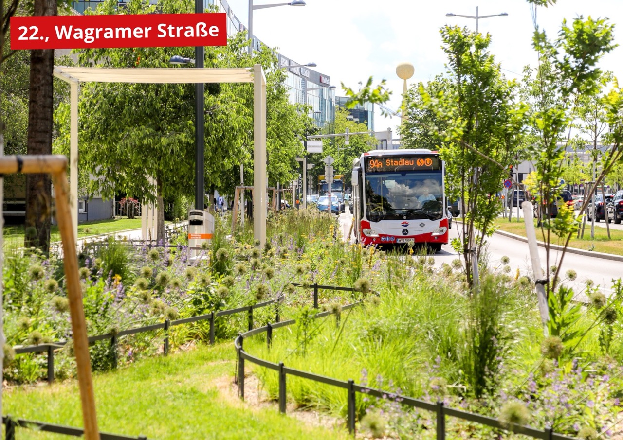 Straßenpark Wagramer Straße mit Bus © Stadt Wien/Christian Fürthner