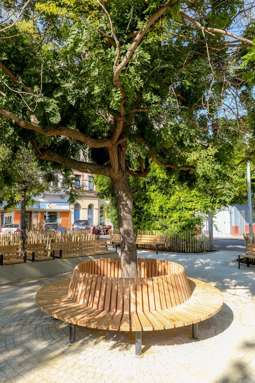 Volkertplatz-Schatten Ein großer schattiger Baum, umringt von einer Sitzbank am umgestalteten Volkertplatz
