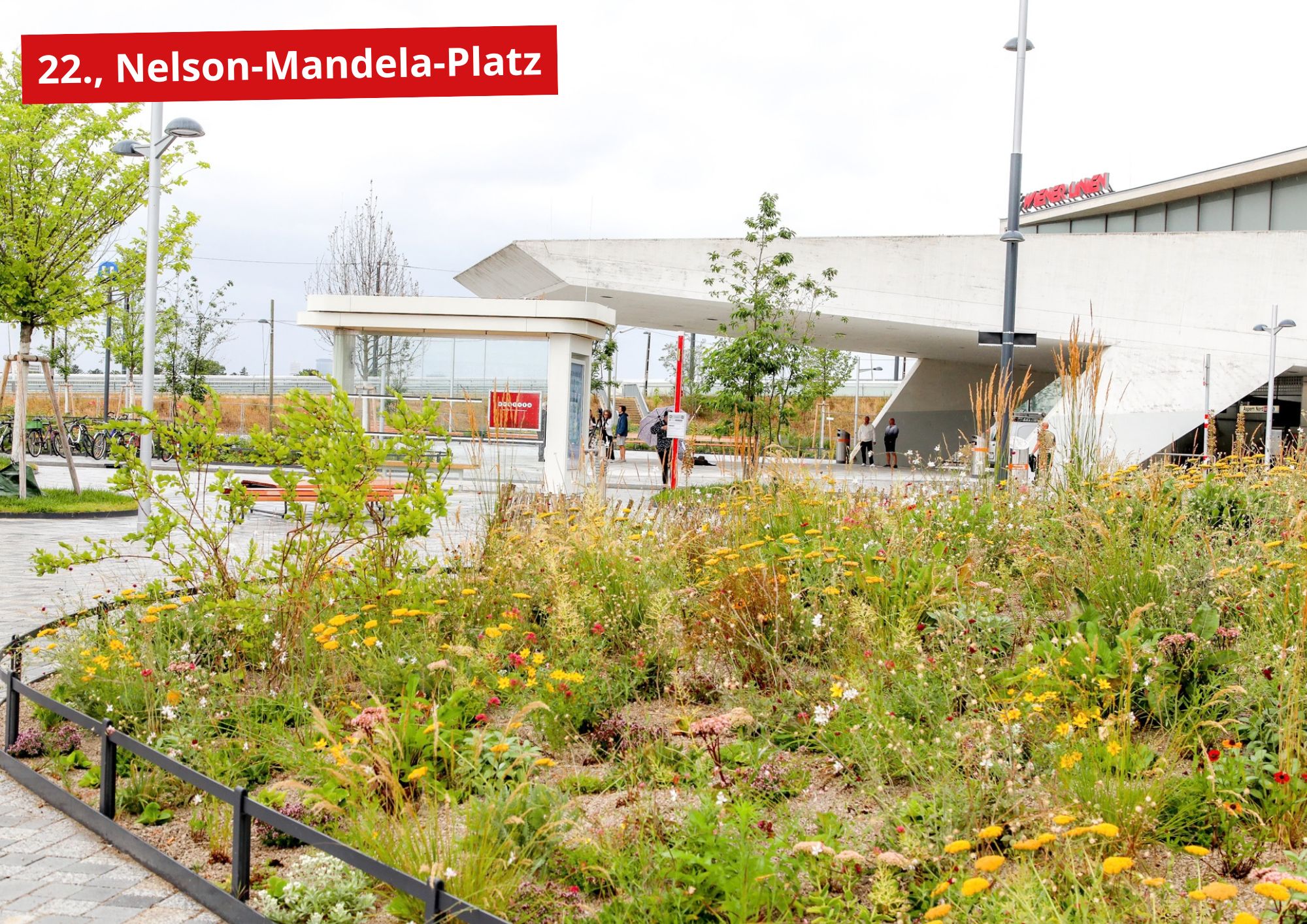 Nelson-Mandela-Platz-1 großes Grünbeet mit vielen blühenden Pflanzen vor dem Stationsgebäude Aspern Nord