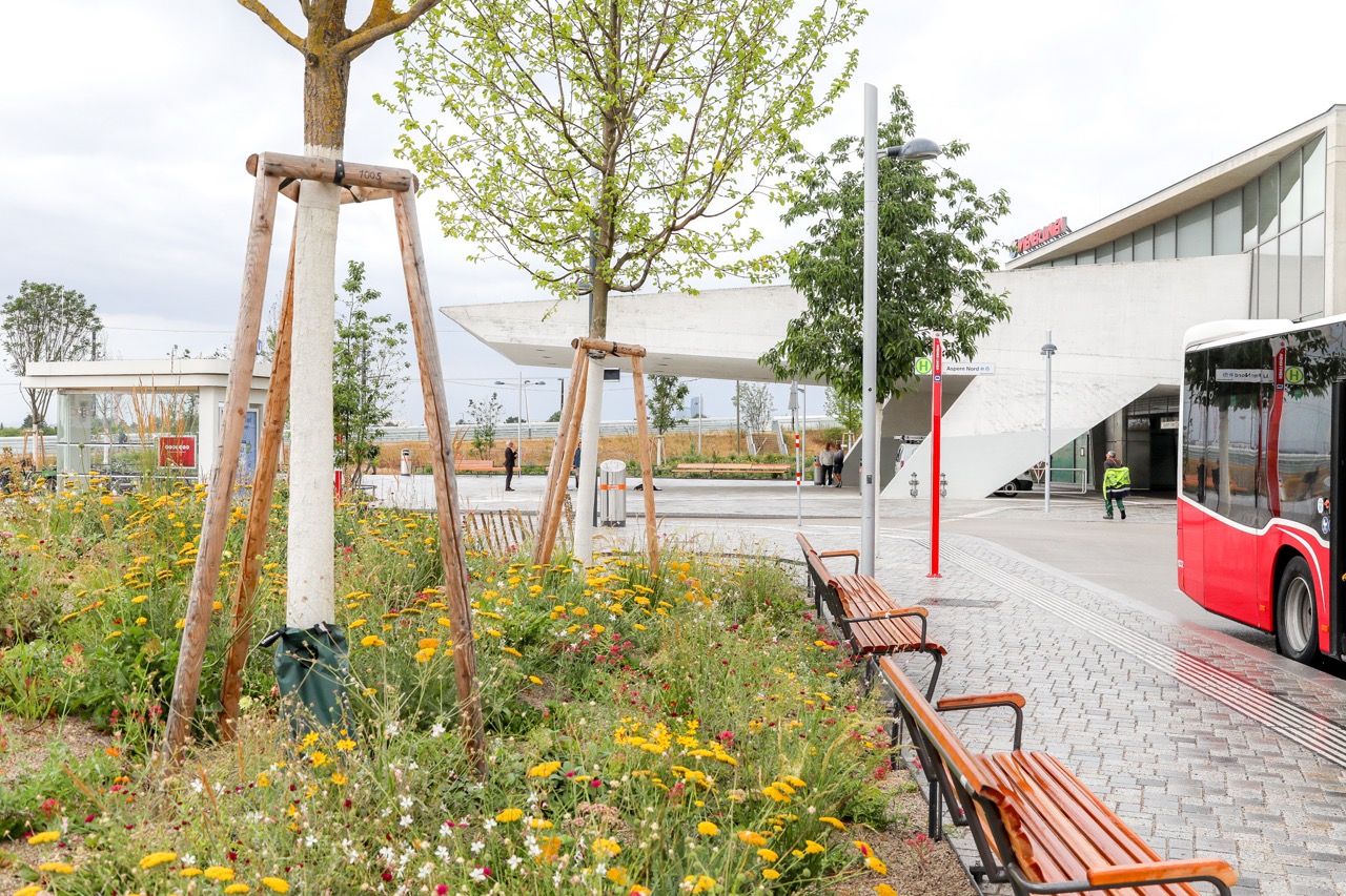 Begrünung, Sitzbänke und helle Pflasterung am Bahnhofsvorplatz Aspern Nord; im Bild auch ein Bus der Wiener Linien