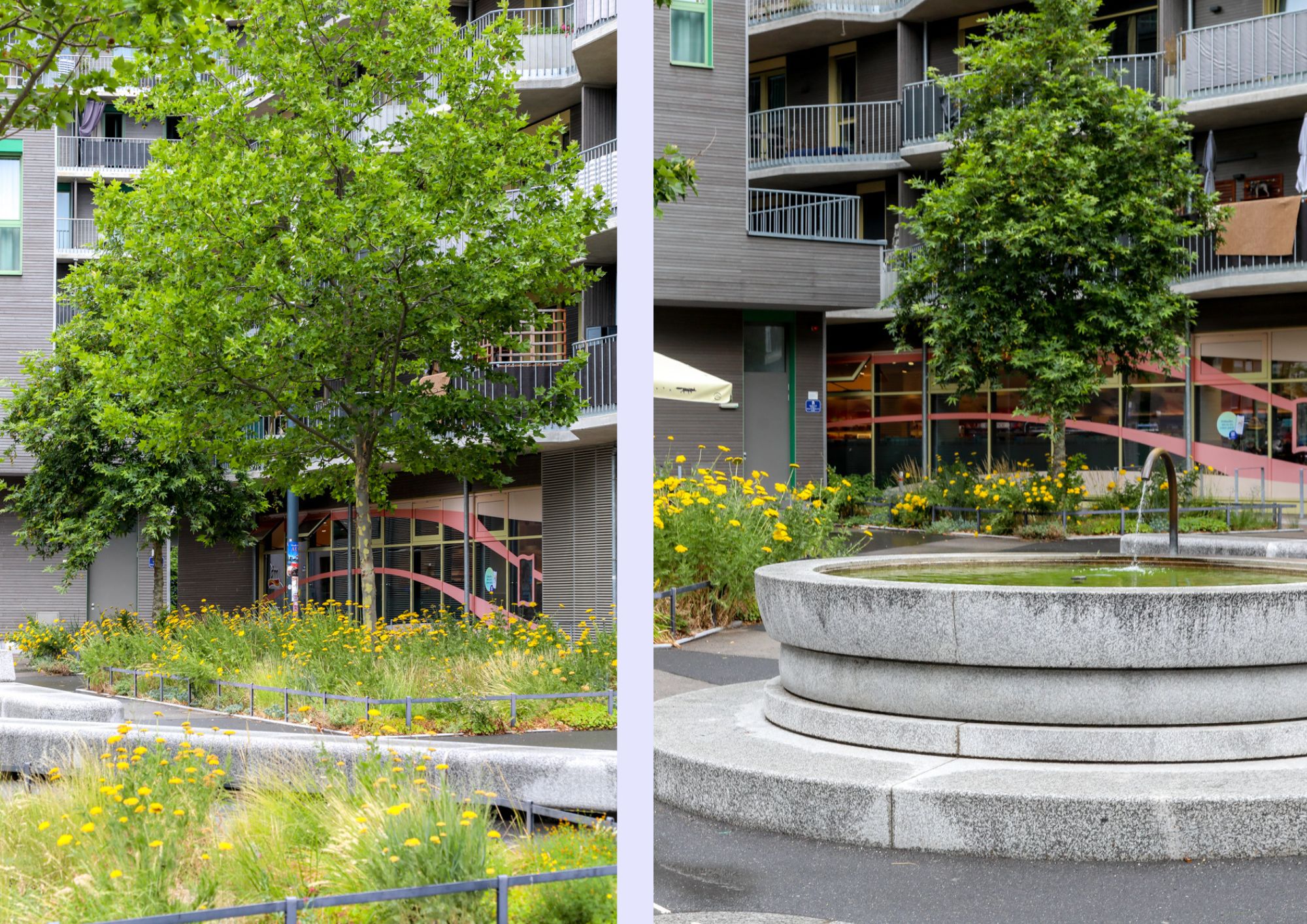 Simone-de-Beauvoir-Platz 2 zweigeteiltes Bild, links Begrünung mit Baum und blühenden Gräserbeeten, rechts ein Brunnen
